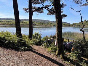 Udsigt over en sø med træer, en grussti og en båd.