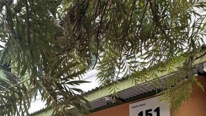 Um edifício com uma placa 'NUENG BANA' e o número '151' acima da entrada.