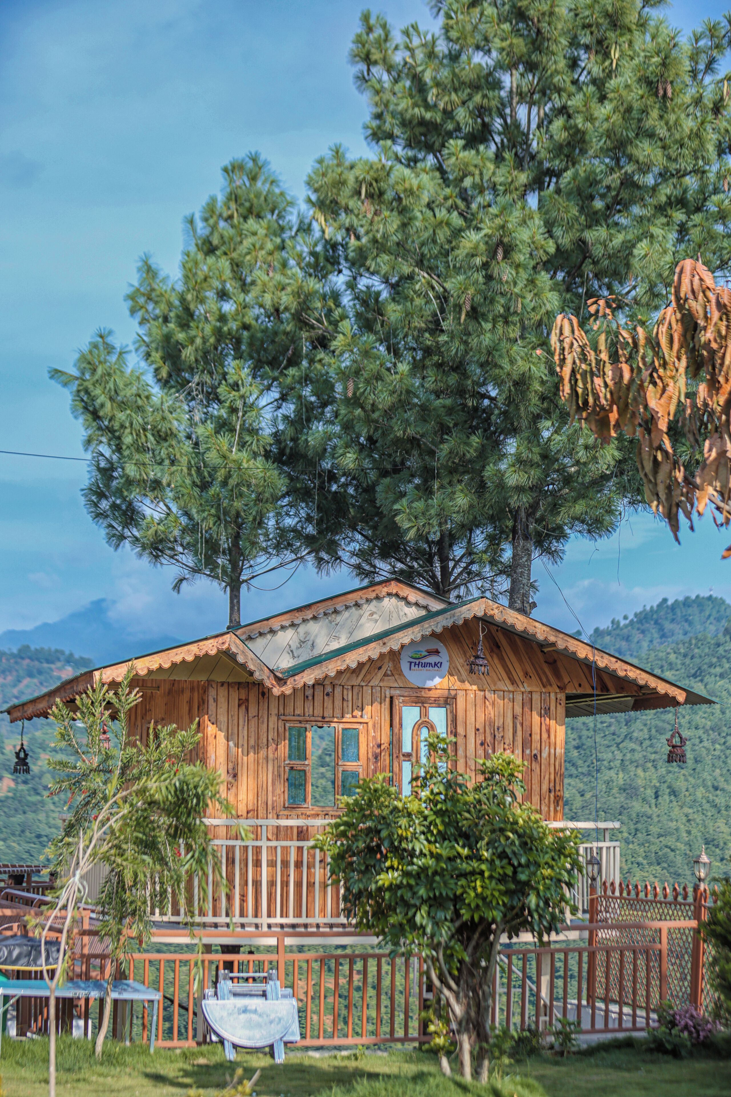 A wooden cabin with a pitched roof, surrounded by lush greenery and trees.