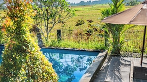 Ảnh chưa phân loại, 5 trong số 171 ảnh, nút