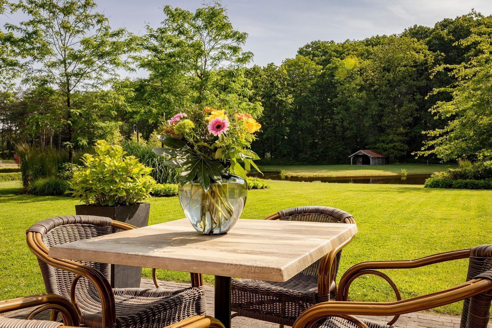 Restauration en plein air