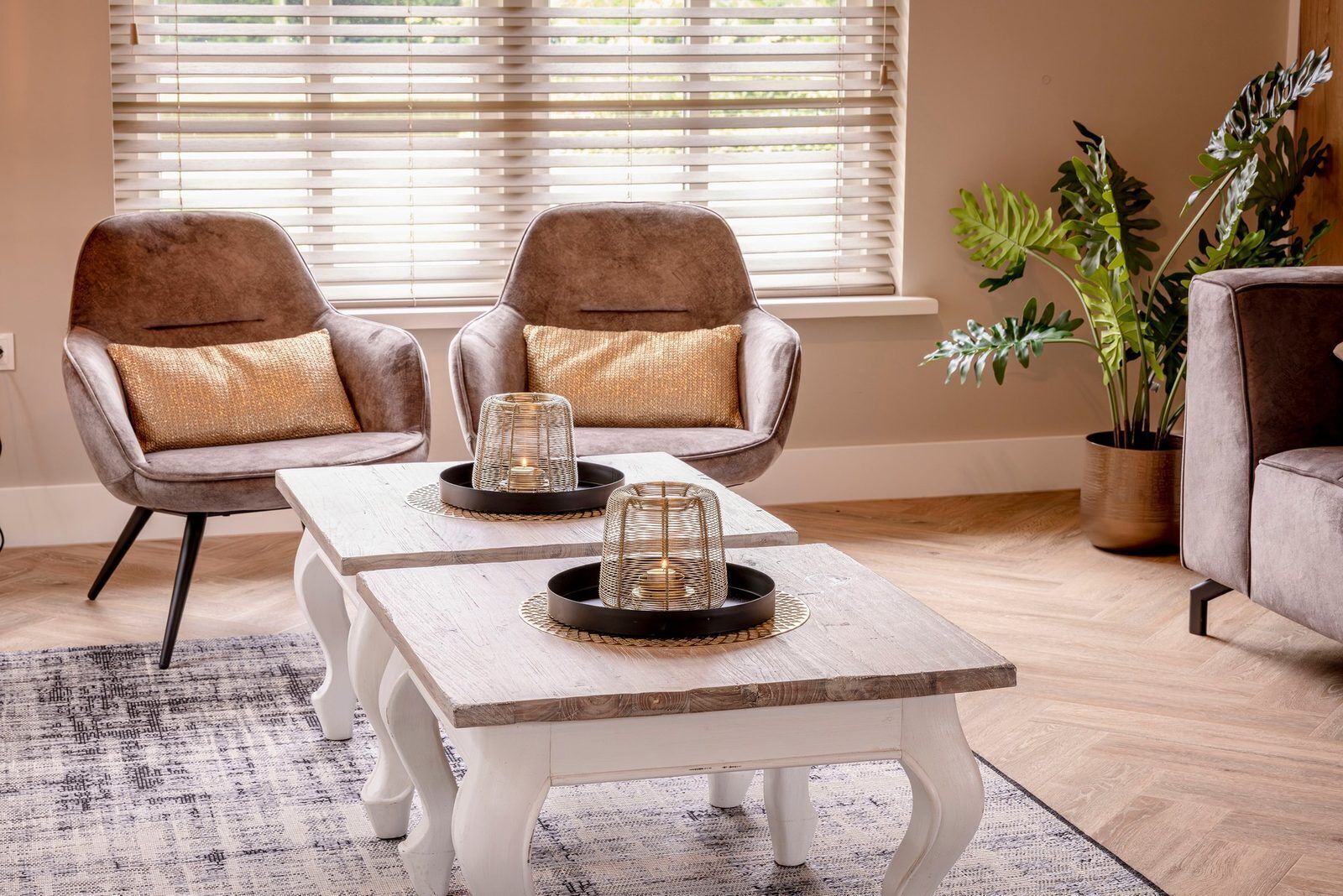 A living room with two armchairs, a coffee table, and a potted plant.