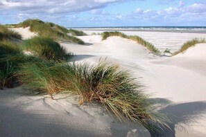 Beach - "Seestern", in the House of Recreation (Juist)