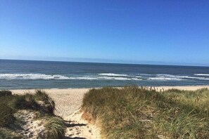 Ein Strand mit blauem Himmel, sandigem Ufer und grasbewachsenen Dünen.