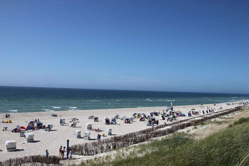 A beach with numerous beach chairs and umbrellas, a sandy shore, and the ocean in the background.