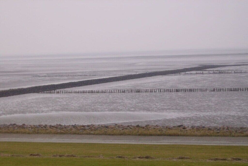 Un paisaje costero con un muelle de madera que se adentra en el agua, una zona verde en primer plano y un horizonte plano.