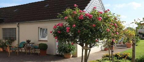 A house with a tiled roof, a garden with yellow flowers, and a potted plant.