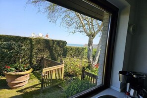 Vista desde una ventana que muestra un jardín con un portón de madera, una planta en maceta con flores rojas y un seto.