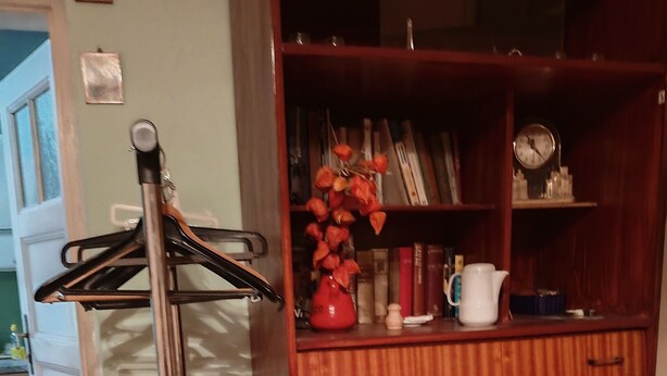 Una habitación con un armario de madera, un perchero con un par de zapatos y un jarrón con flores rojas.