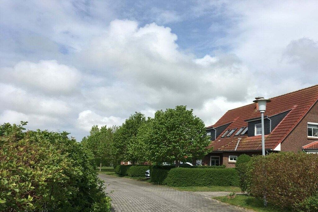 A residential street with houses, a paved driveway, and a clear sky.