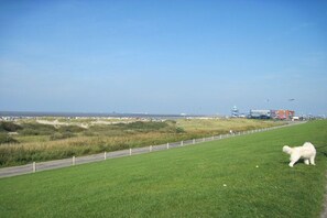 Un espace verdoyant avec un sentier, un chien, et une vue lointaine sur une plage et des bâtiments industriels.