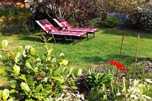 Ein Garten mit zwei Liegestühlen und verschiedenen Pflanzen.