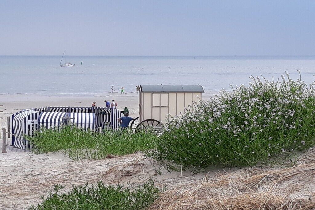 Une plage avec une zone de chaises longues à rayures, un petit abri et un bateau visible au loin.