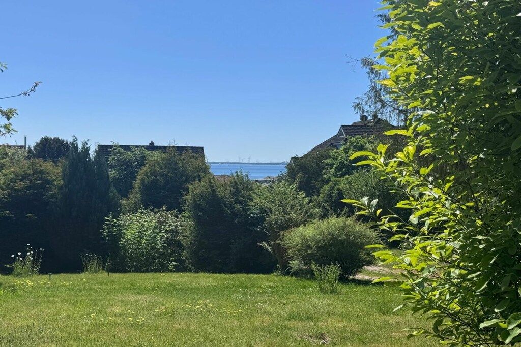 Une zone herbeuse avec des arbres et une vue sur des bâtiments au loin.