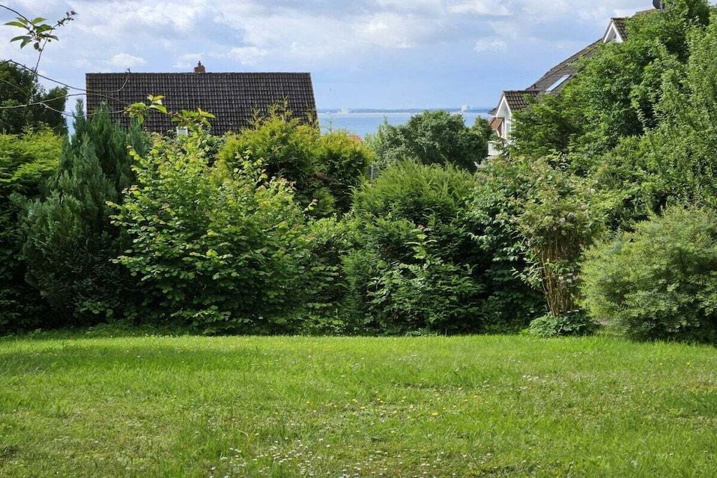 A grassy area with dense shrubbery and a building with a dark roof.