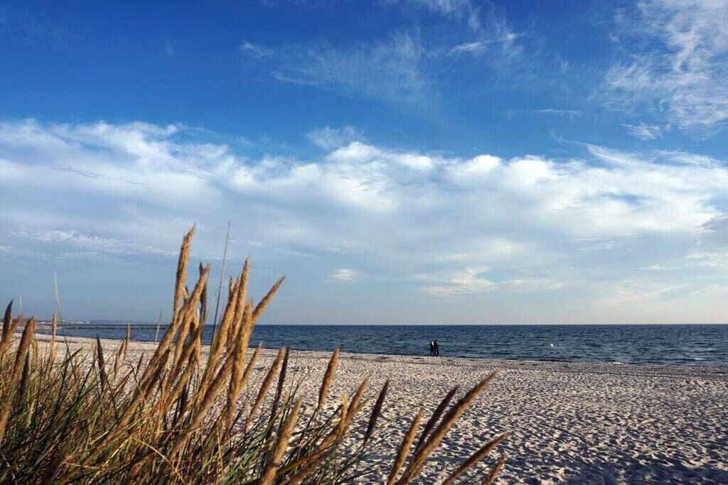 Uma praia com céu claro e mar.