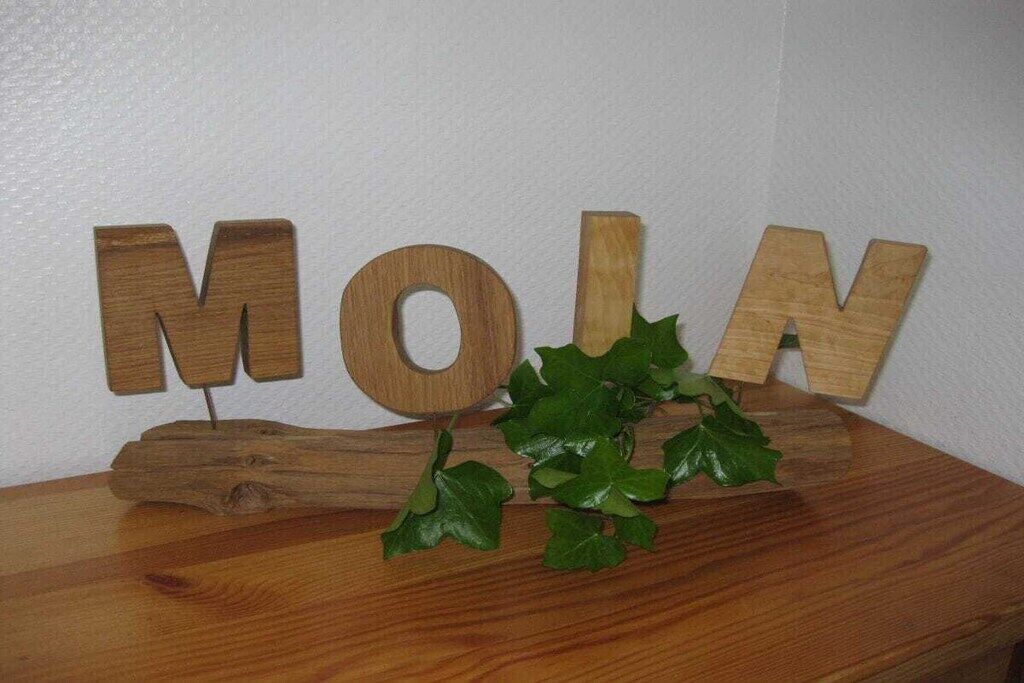 Wooden letters spelling 'MOLN' on a wooden surface with green leaves.