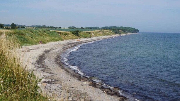 A coastal road with a sandy beach and grassy areas. - Holiday home in Fehmarn with swimming pool (Fehmarn)
