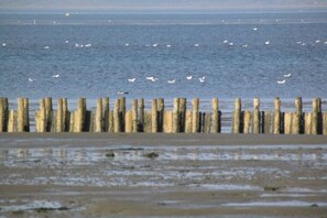 A coastal scene with a wooden jetty and a sandy beach. - Holiday apartment with 2 bedrooms (Ochtersum)