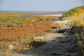 Un paisaje costero con un sendero de tierra, zonas verdes y una vista distante del mar.