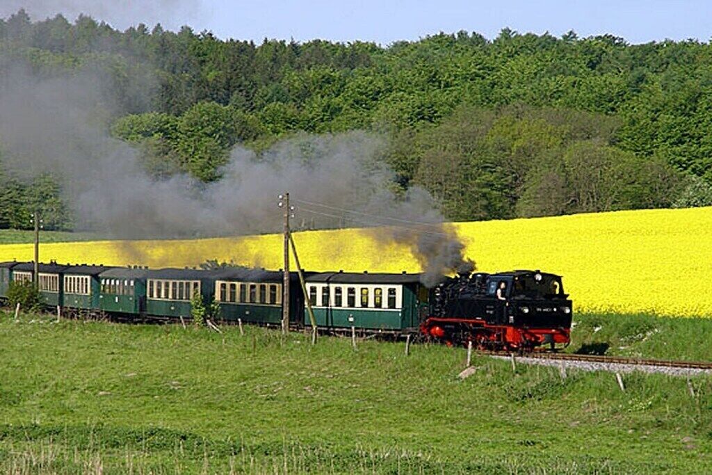 Una locomotora de vapor remolcando un tren de pasajeros verde a través de una zona rural con campos amarillos y un denso bosque al fondo.