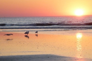 A beach scene with waves and a sunset. - Seestern 10 Apartment House Seestern (Norderney)