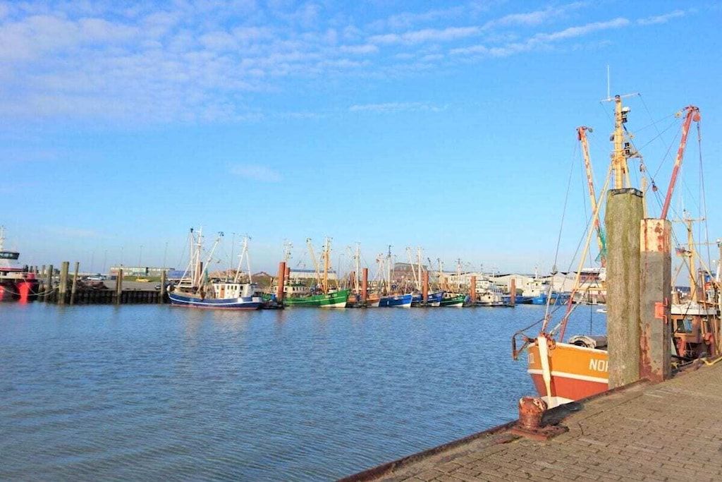 Un port de plaisance où sont amarrés de nombreux bateaux, avec une grue et un ciel dégagé.