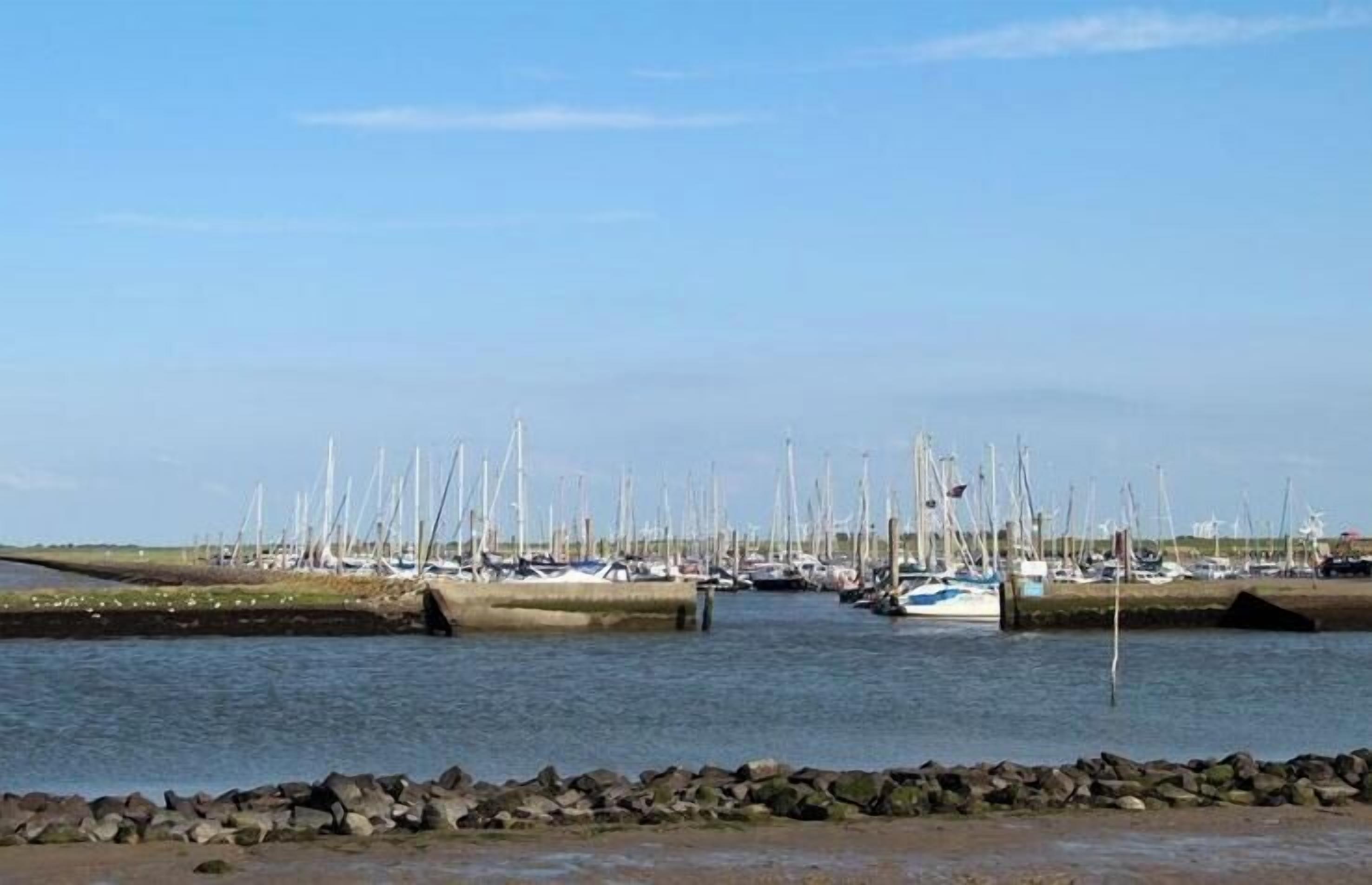 A marina with numerous sailboats docked along the shore.