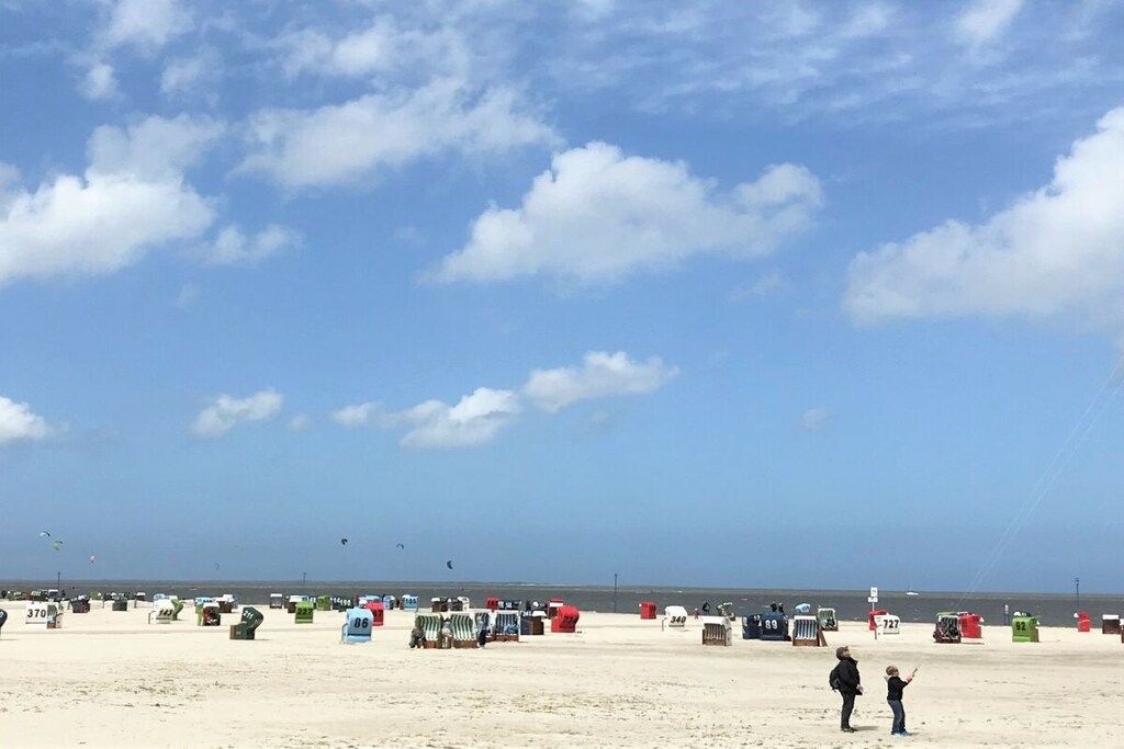 Een strand met veel genummerde containers, een heldere lucht en een verre horizon van de zee.