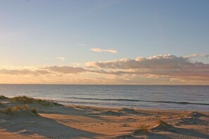 Beach - Holiday apartment in Sylt with swimming pool (Sylt)