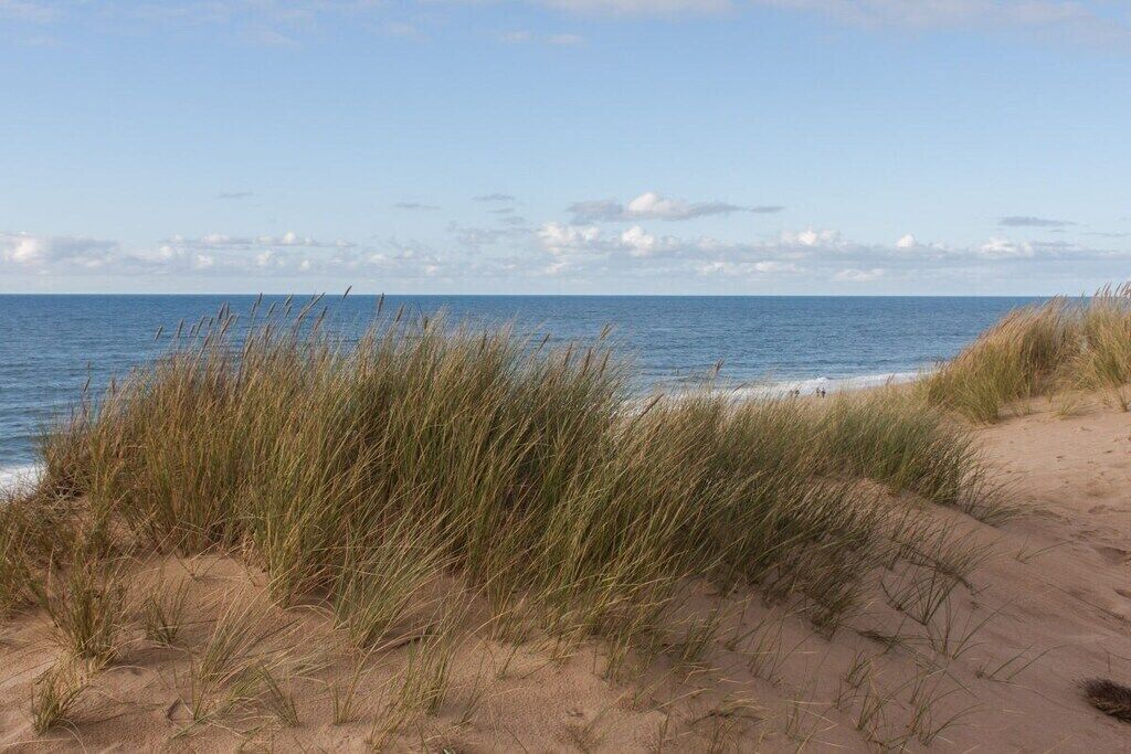 Une plage avec des dunes de sable et de l’herbe au premier plan.