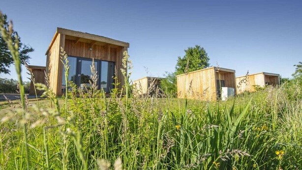 A modern wooden cabin with a large glass window, surrounded by natural vegetation. - Holiday apartment with 1 bedroom (Schwedeneck)