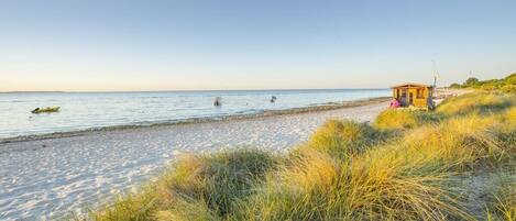 Una playa con una pequeña estructura de madera, cielos despejados y agua tranquila.
