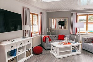 A modern living room with a sofa, a coffee table, a TV, and a fireplace. - Holiday home with 1 bedroom (Grödersby)