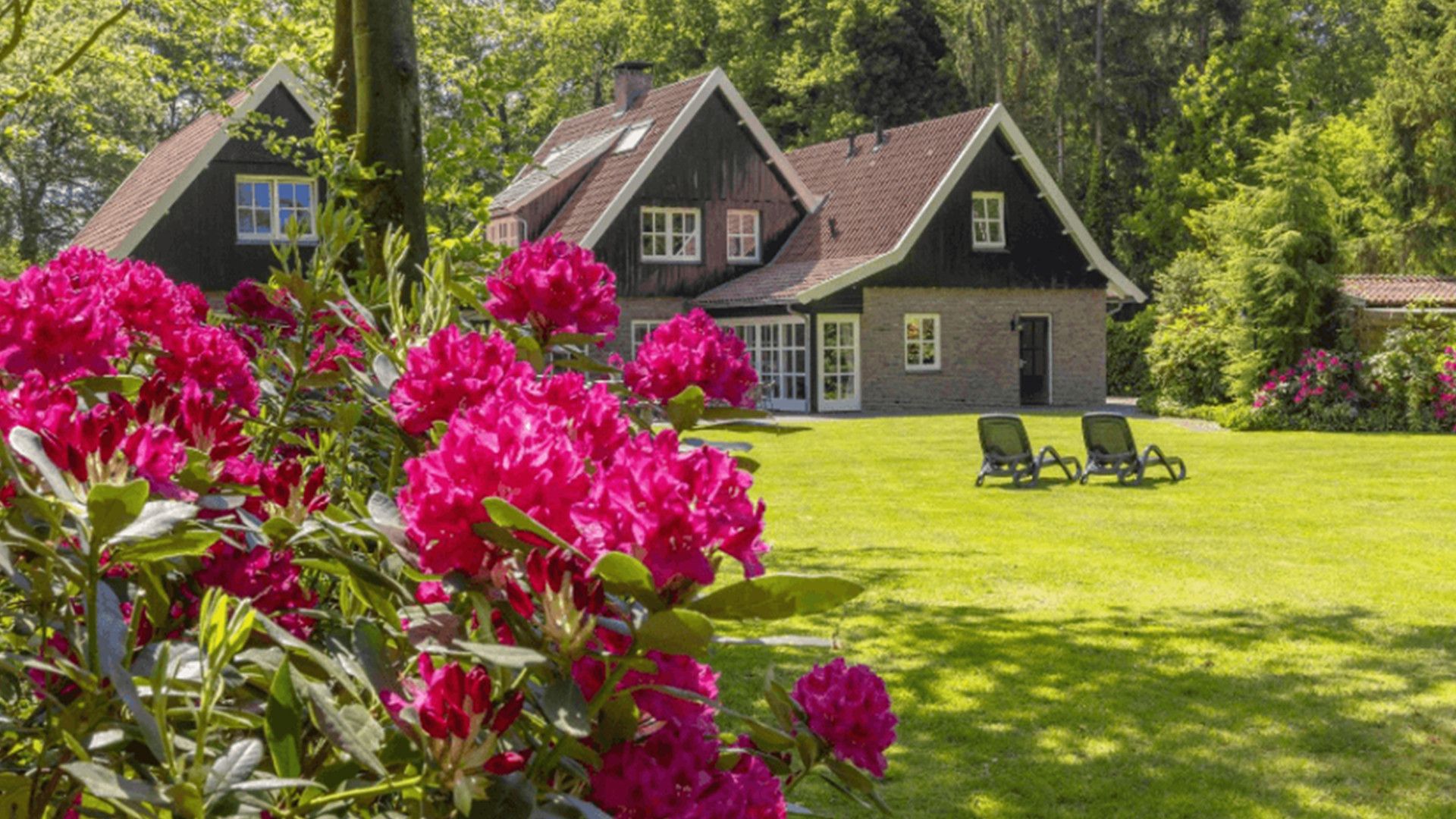 A house with a well-maintained lawn and two chairs.