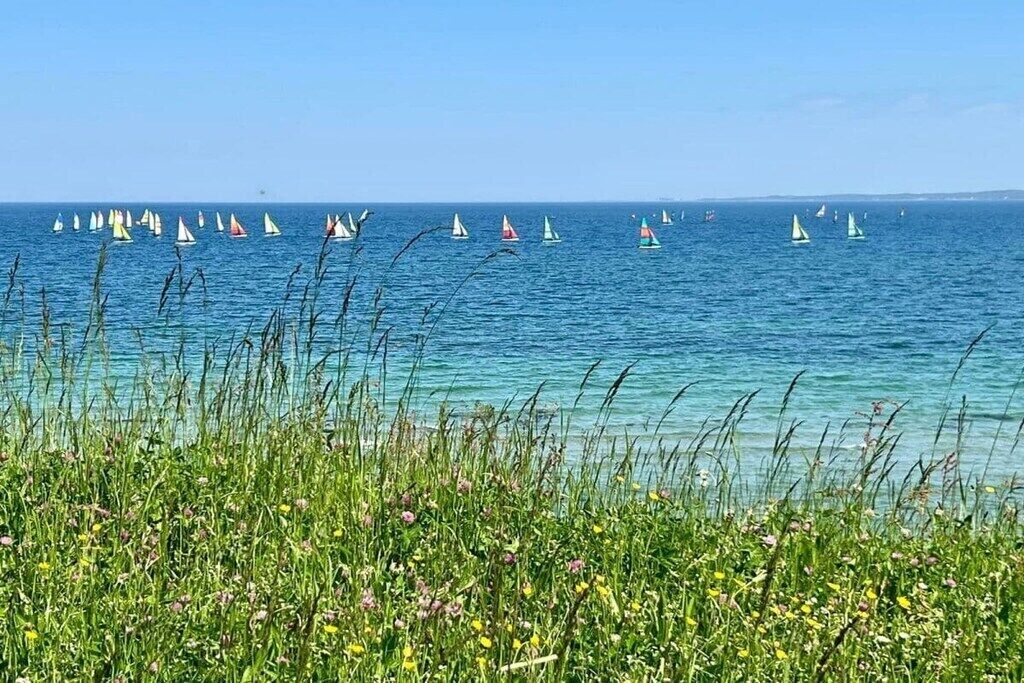 A coastal scene with sailboats on the water and grassy vegetation in the foreground.