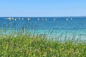 A coastal scene with sailboats on the water and grassy vegetation in the foreground. - Holiday apartment with 1 bedroom (Hohwacht)