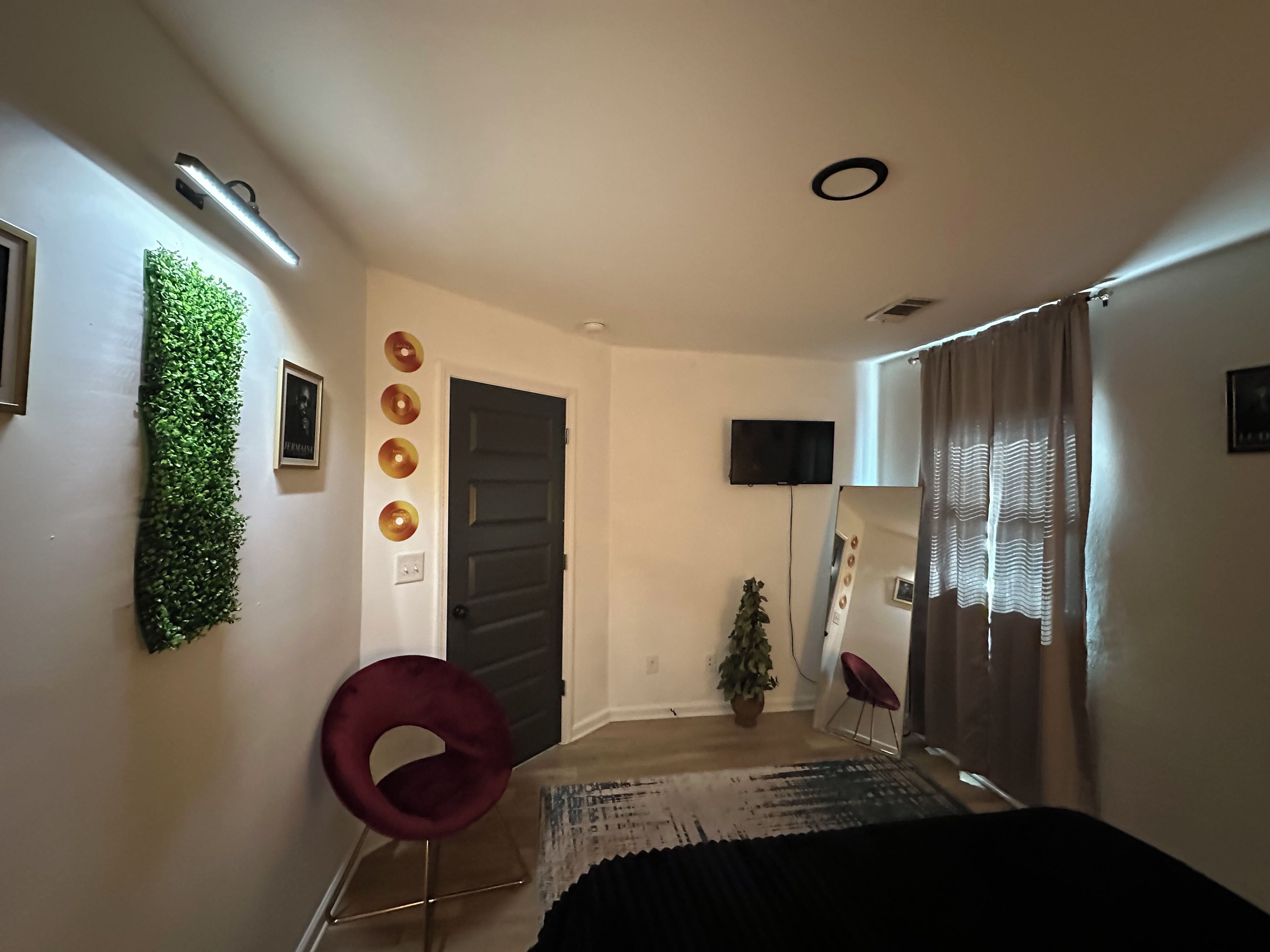 A room with a bed, a chair, a TV, a door, and a plant.