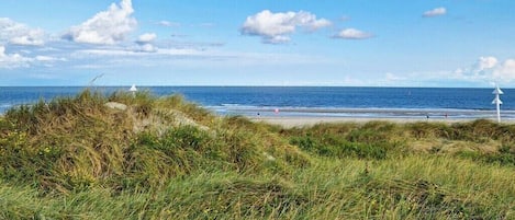 Una spiaggia con dune e cielo sereno.