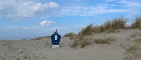 Strand