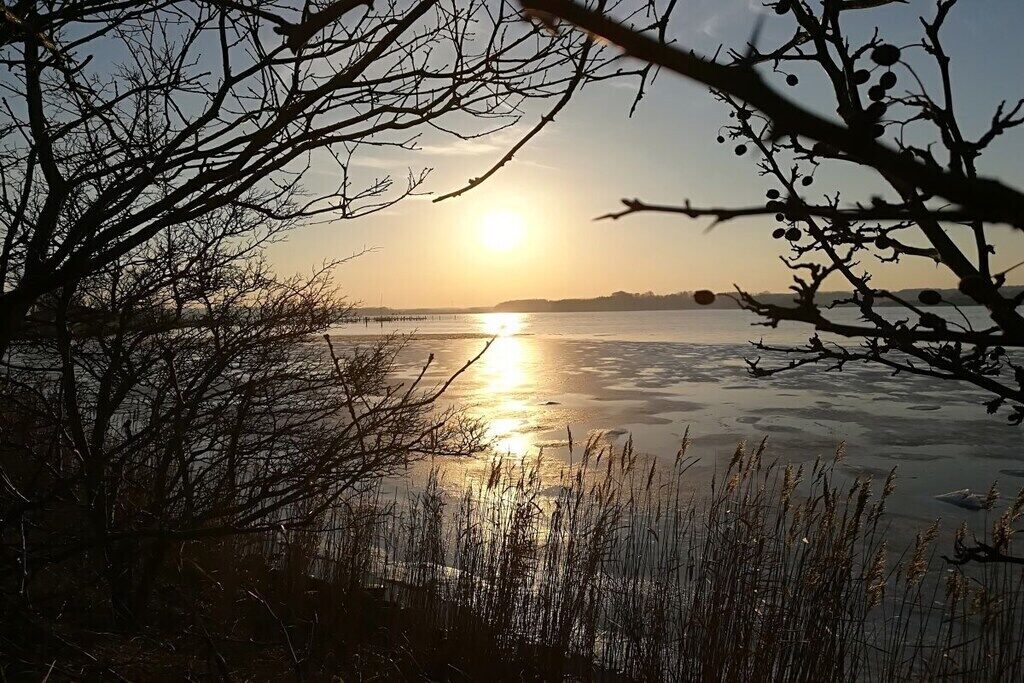 A body of water reflecting sunlight with bare branches in the foreground.