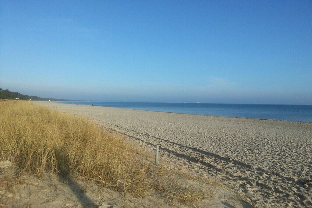 Una spiaggia con sabbia e vegetazione rada.
