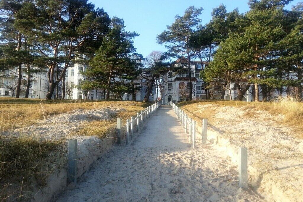 A pathway leading to a building surrounded by trees.