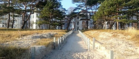 Un sendero que lleva a un edificio rodeado de árboles.