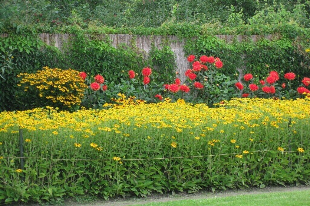 Un jardin agrémenté de diverses fleurs, une clôture en bois et une pelouse.