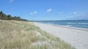 A beach with a clear sky and grassy dunes. - Holiday apartment in Juliusruh with Wi-Fi (Juliusruh)