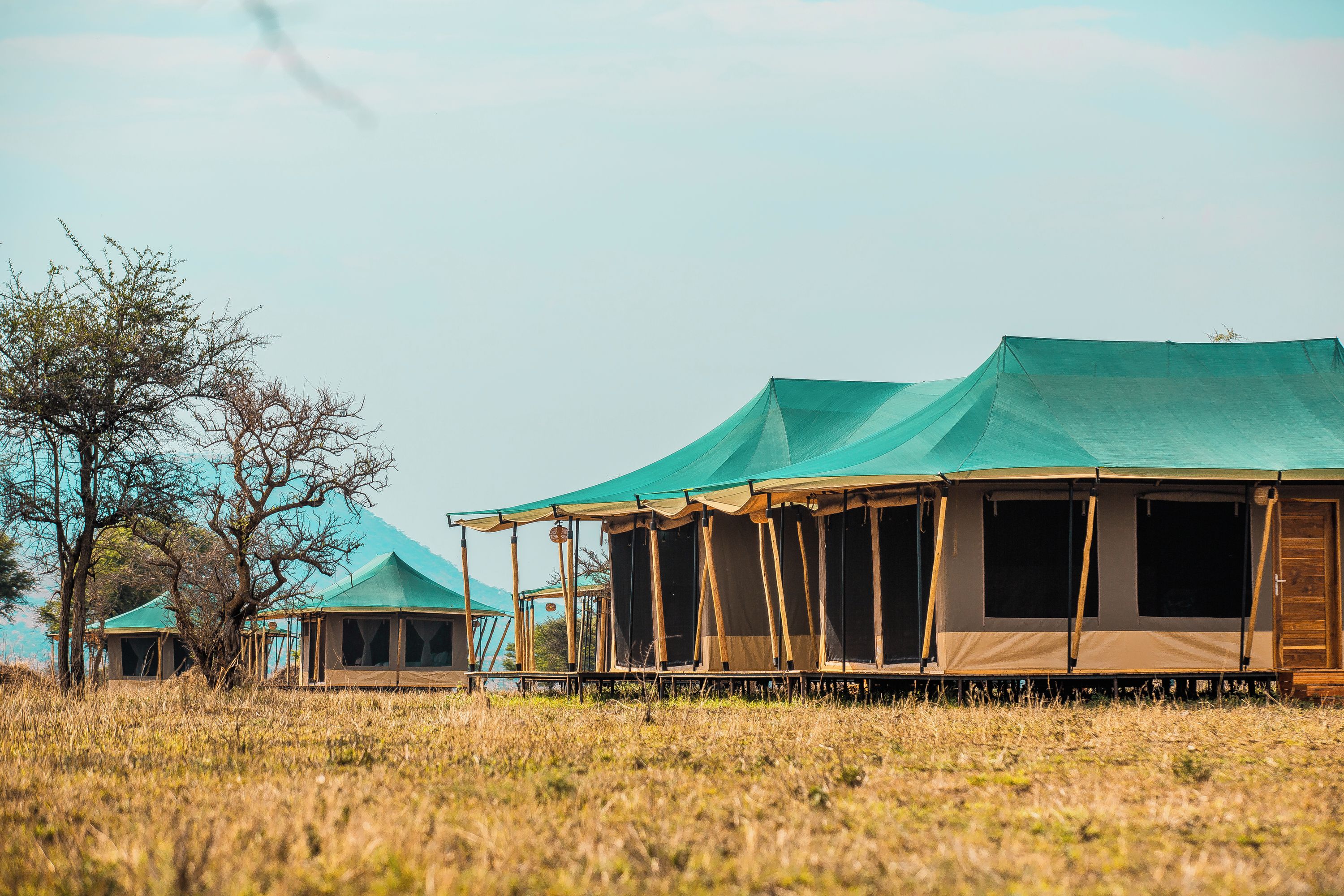 Une série de tentes de safari au design simple et fonctionnel, installées dans un environnement naturel agrémenté d’arbres et d’herbe.