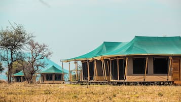 Une série de tentes de safari au design simple et fonctionnel, installées dans un environnement naturel agrémenté d’arbres et d’herbe.
