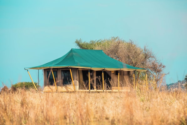 A single-story tent with a green roof, surrounded by tall grass and sparse trees.