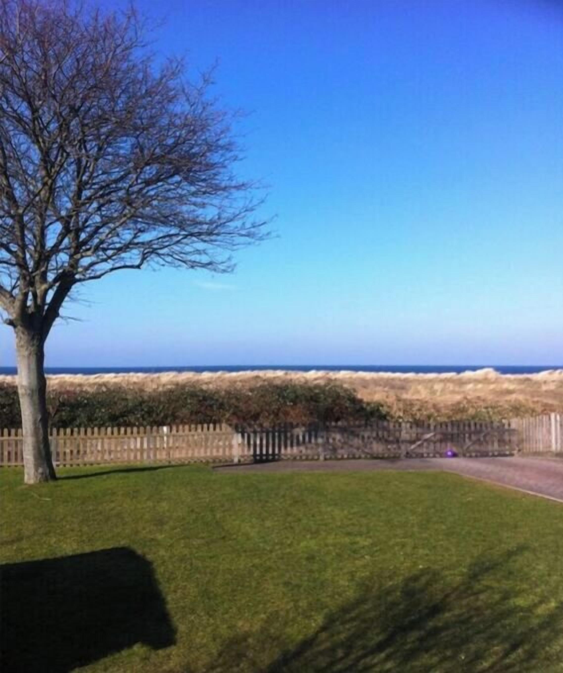 A tree-lined grassy area with a view of the sea.